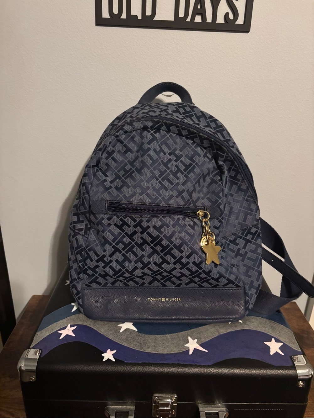 Tommy Hilfiger Navy Backpack with Red Accent